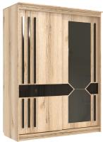 Фото shkaf-kupe-v-prikhozhuyu шкаф-купе №25 блэк (1,7 - 2 двери) производитель 