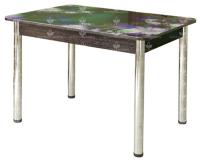 Фото stoly-obedennye-neraskladnye стол обеденный со-2 фотопечать производитель Росток