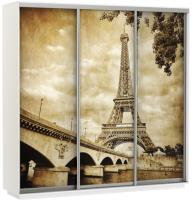 Фото shkaf-kupe-v-prikhozhuyu шкаф-купе экспресс трио фото (2,1х0,6х2,4 - 3 двери) производитель Мебельная компания Е1