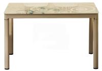 Фото stoly-obedennye-neraskladnye стол обеденный signal damar (1,0) производитель Signal